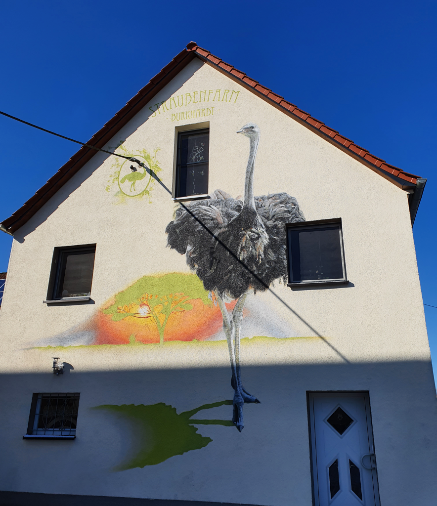 Strauss8_zuhause
