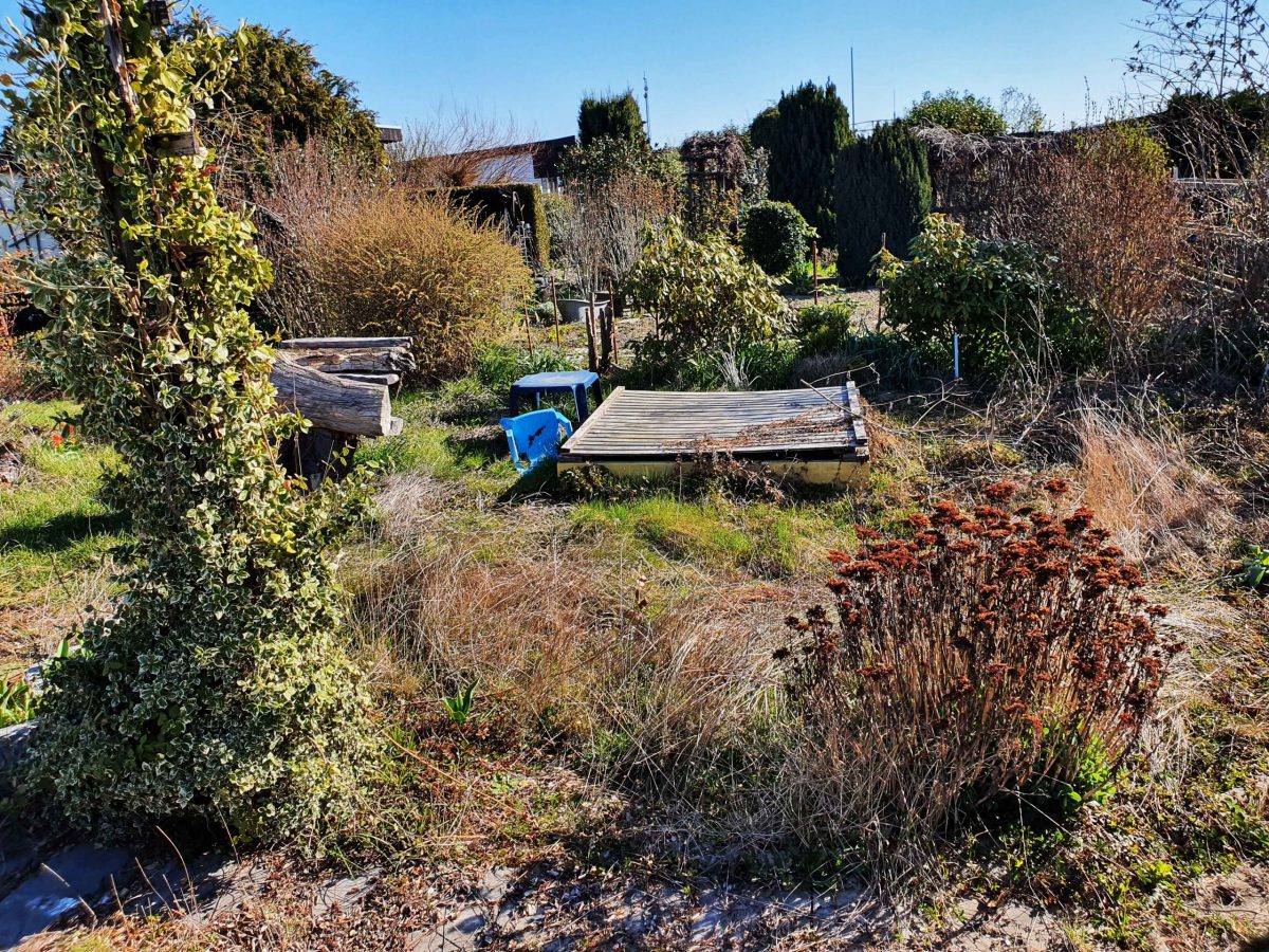 So zugewuchert empfing uns der Garten, Foto: Maike Steuer