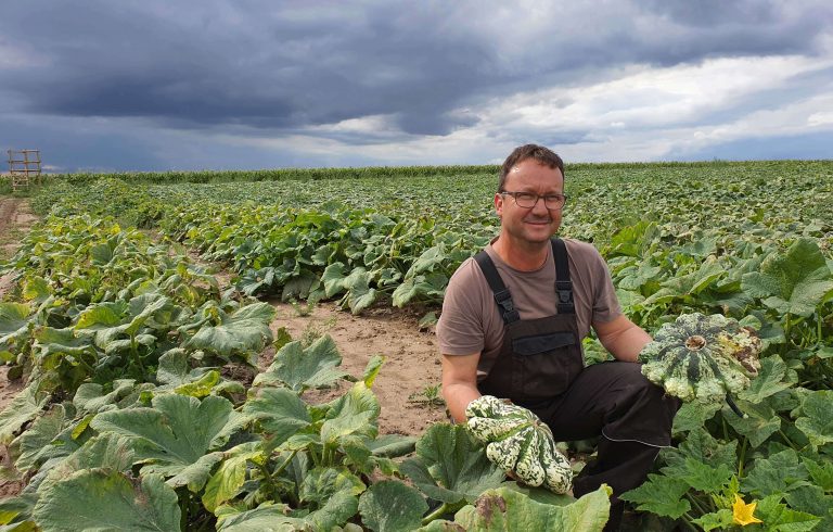 Kürbis Heiko in seinem Element, Foto: Maike Steuer